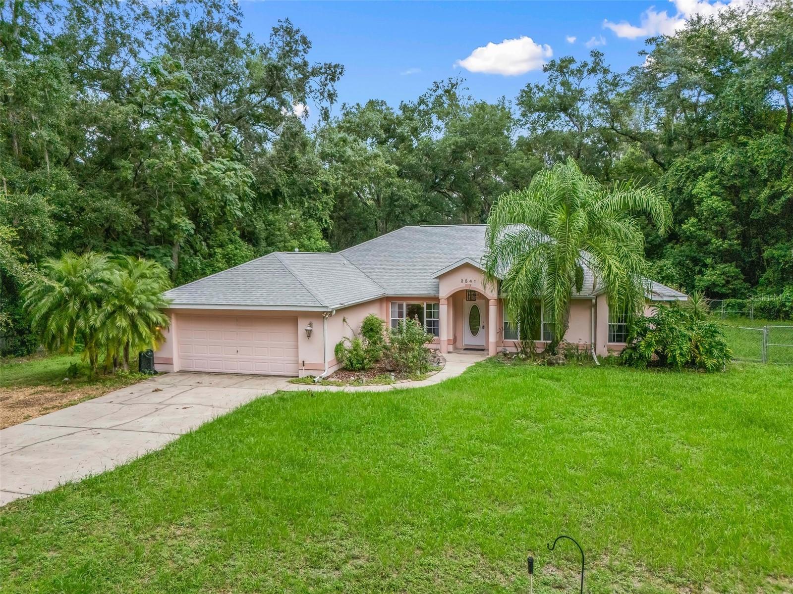 2541 LAKE GRIFFIN RD, LADY LAKE, FL, 32159