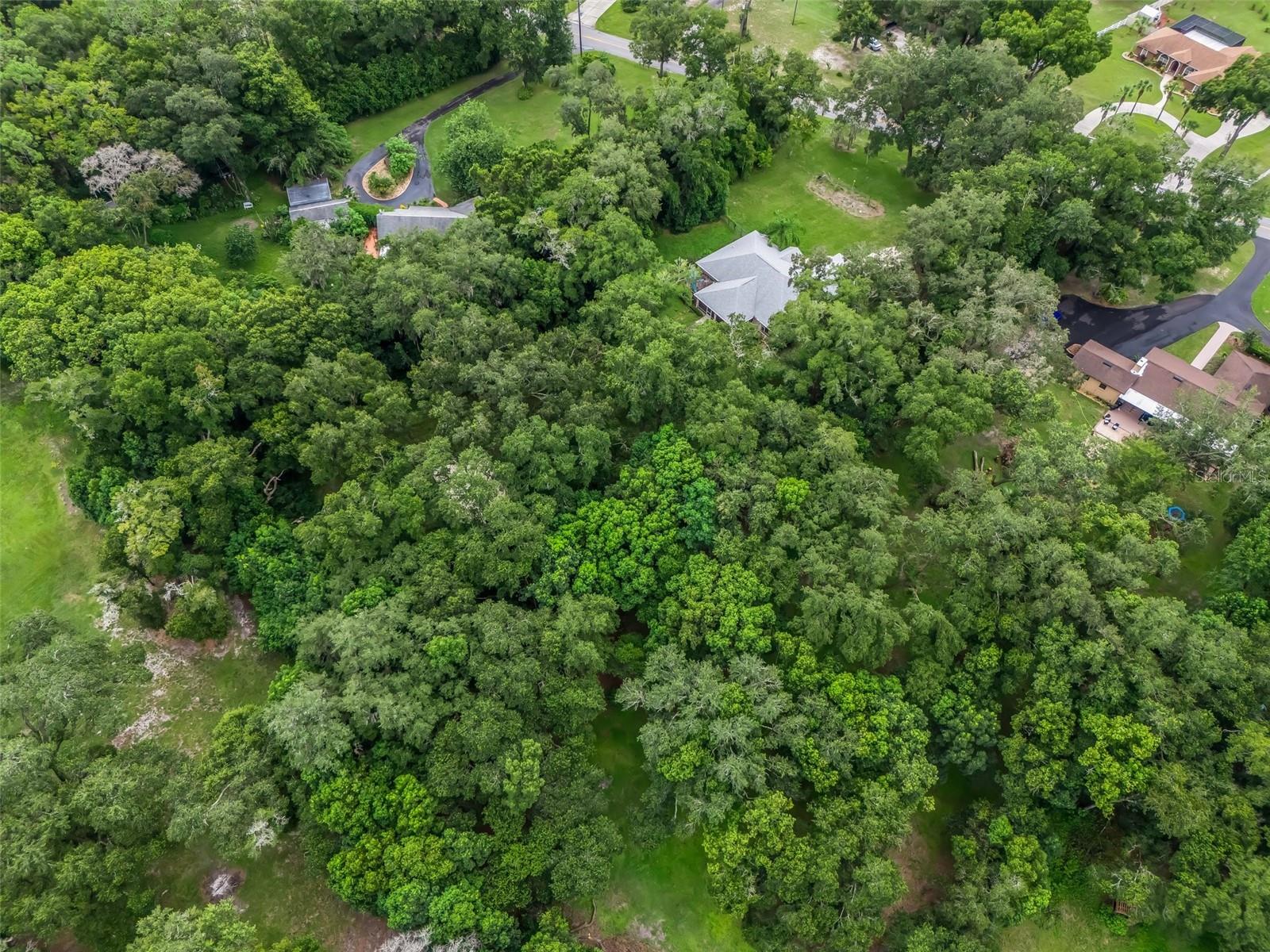2541 LAKE GRIFFIN RD, LADY LAKE, FL, 32159