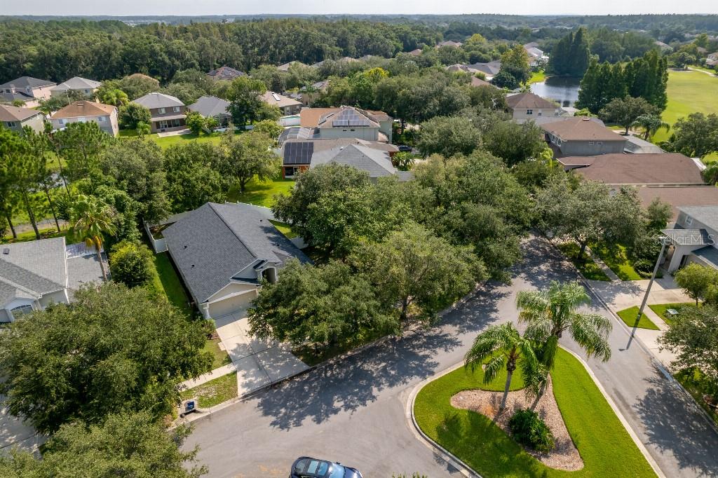 10417 LUCAYA DR, TAMPA, FL, 33647