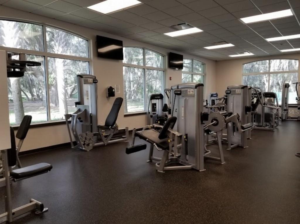 10417 LUCAYA DR, TAMPA, FL, 33647