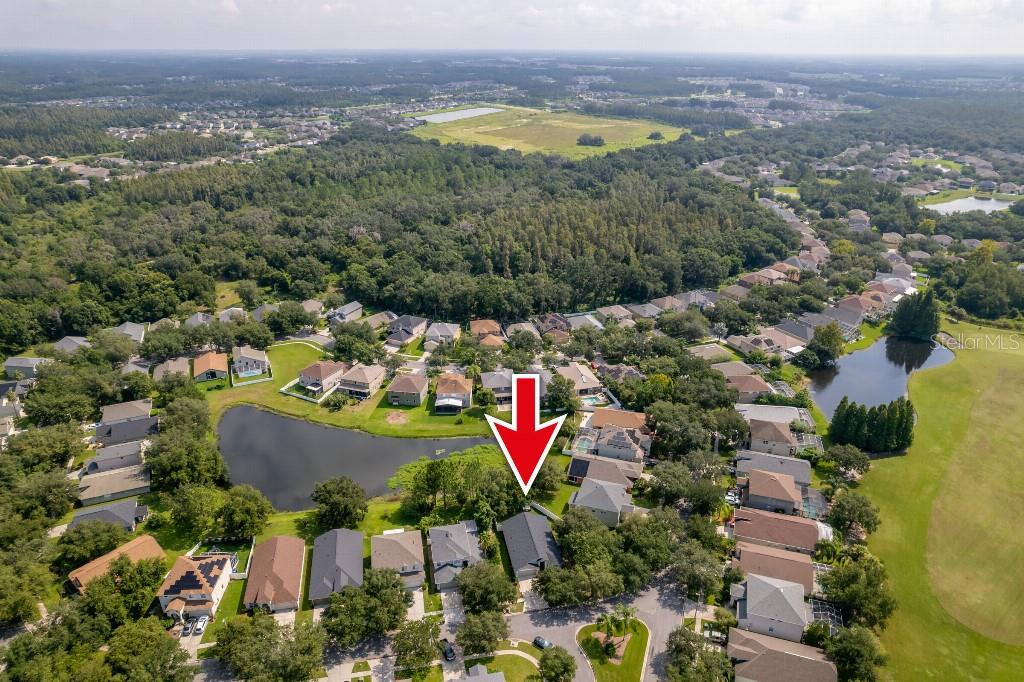 10417 LUCAYA DR, TAMPA, FL, 33647