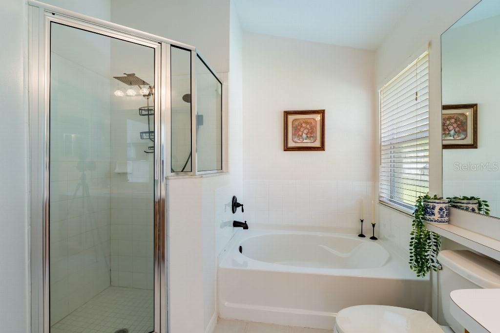 10417 LUCAYA DR, TAMPA, FL, 33647