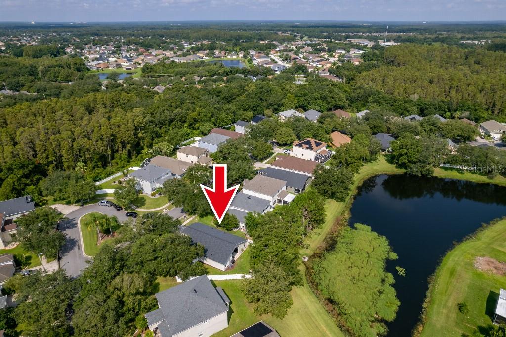 10417 LUCAYA DR, TAMPA, FL, 33647