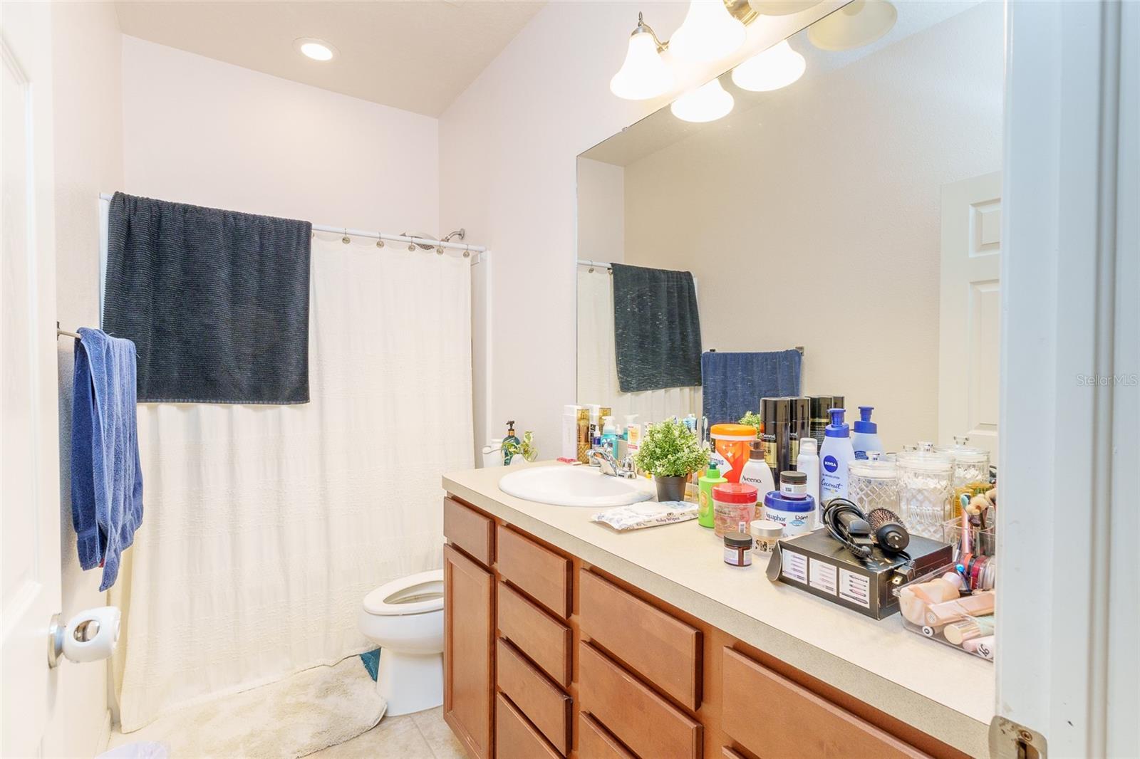 1515 GADSDEN POINT PL, RUSKIN, FL, 33570