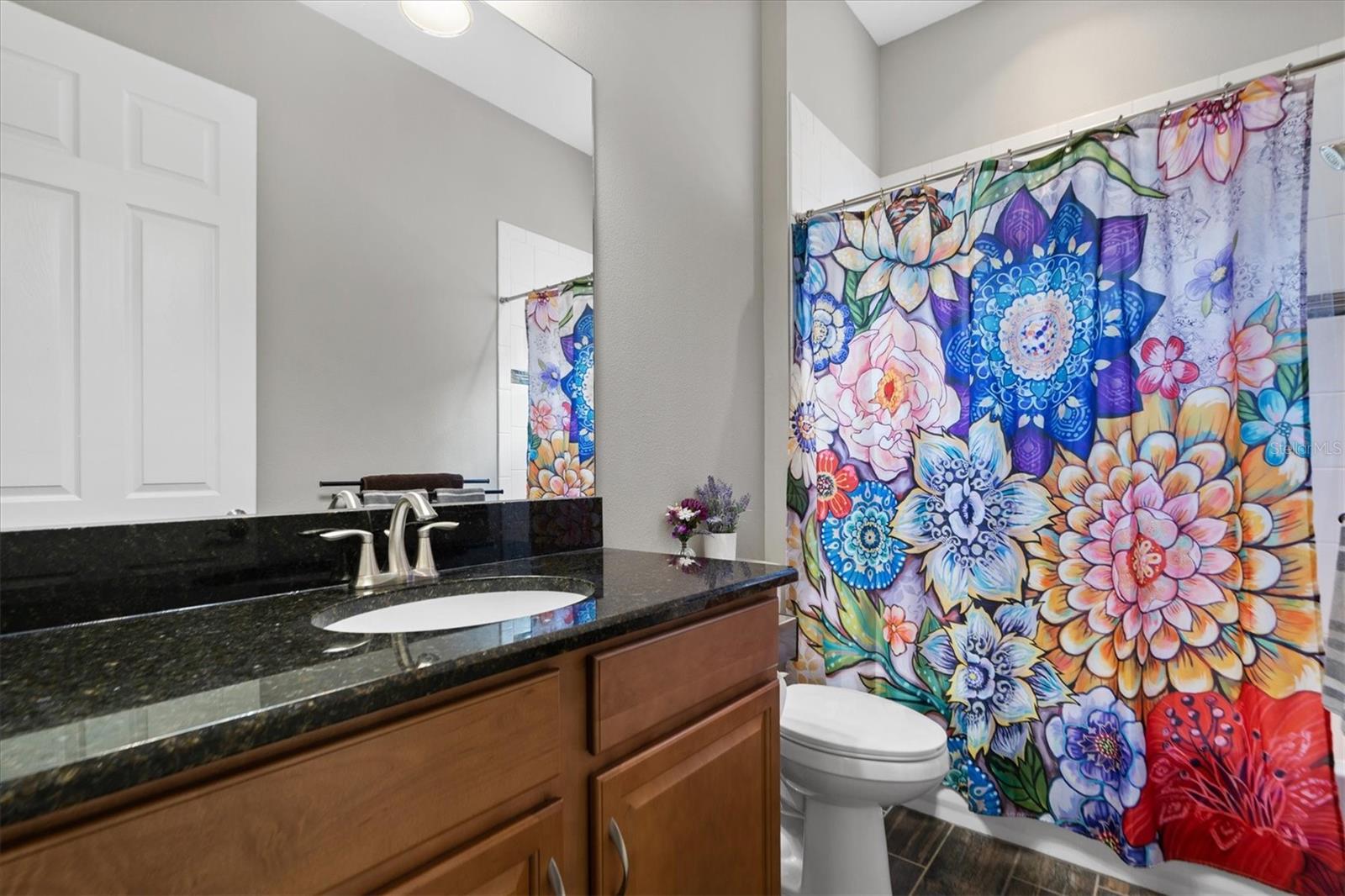 6313 BREVADA LN, APOLLO BEACH, FL, 33572
