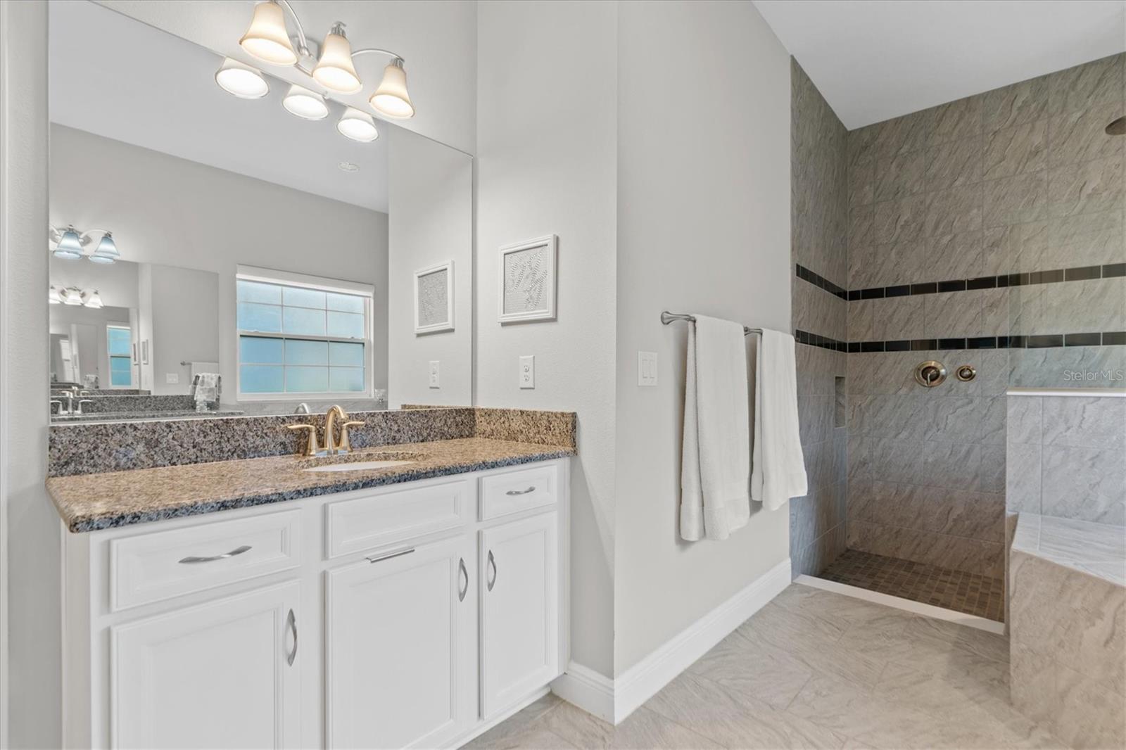 6313 BREVADA LN, APOLLO BEACH, FL, 33572