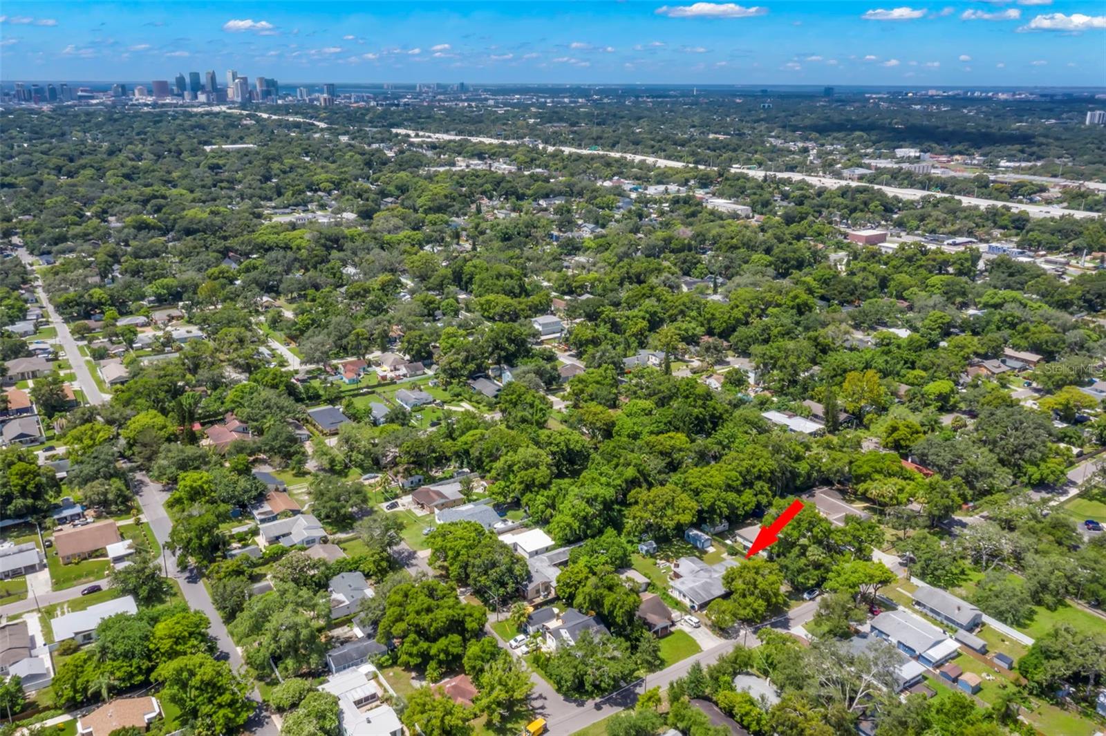 1213 E FRIERSON AVE, TAMPA, FL, 33603