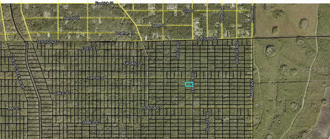 XXX EBERT AVE, HASTINGS, FL, 32145