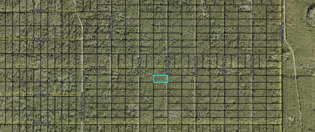 XXX EBERT AVE, HASTINGS, FL, 32145