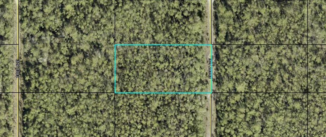 XXX EBERT AVE, HASTINGS, FL, 32145