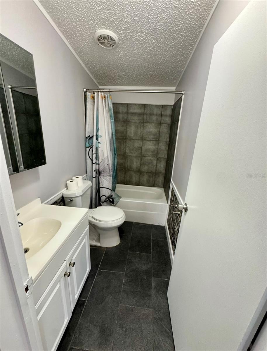 15594 NE 233RD PL, FORT MC COY, FL, 32134