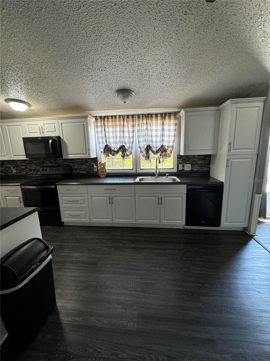 15594 NE 233RD PL, FORT MC COY, FL, 32134