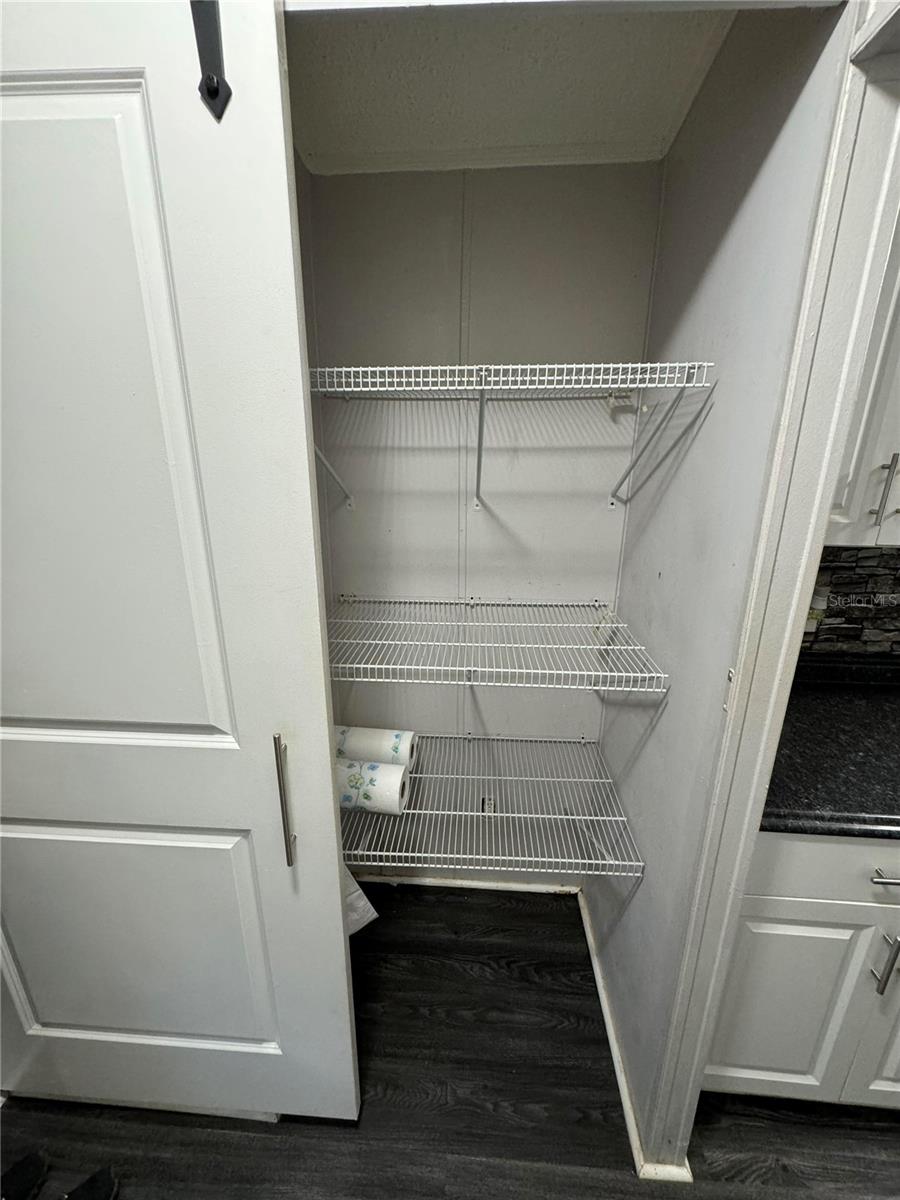 15594 NE 233RD PL, FORT MC COY, FL, 32134