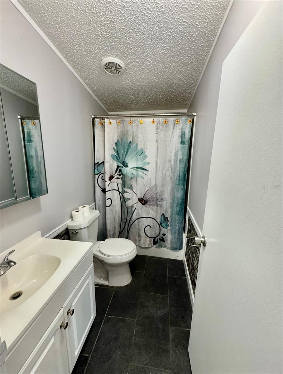 15594 NE 233RD PL, FORT MC COY, FL, 32134