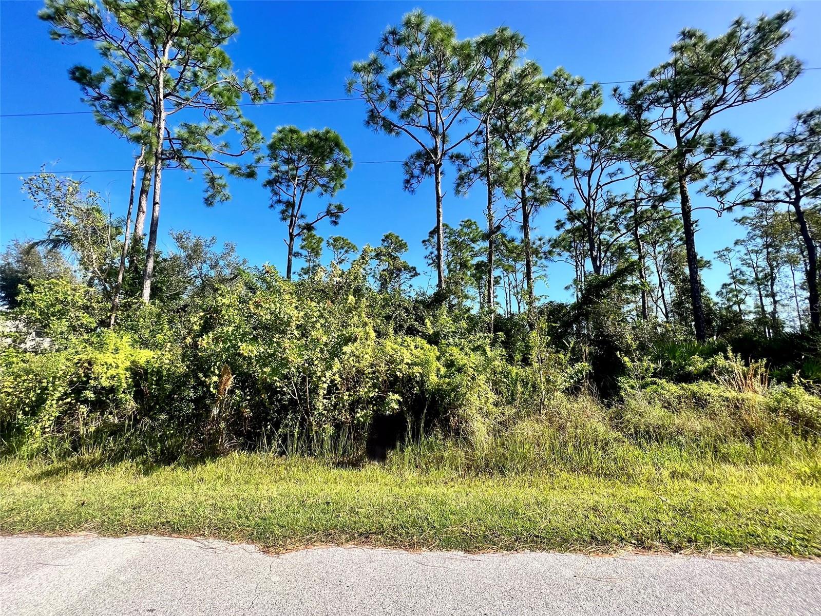 12338 CATALINA DR, PUNTA GORDA, FL, 33955