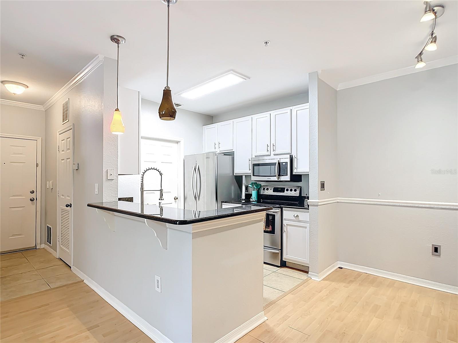 10123 COURTNEY PALMS BLVD #204, TAMPA, FL, 33619