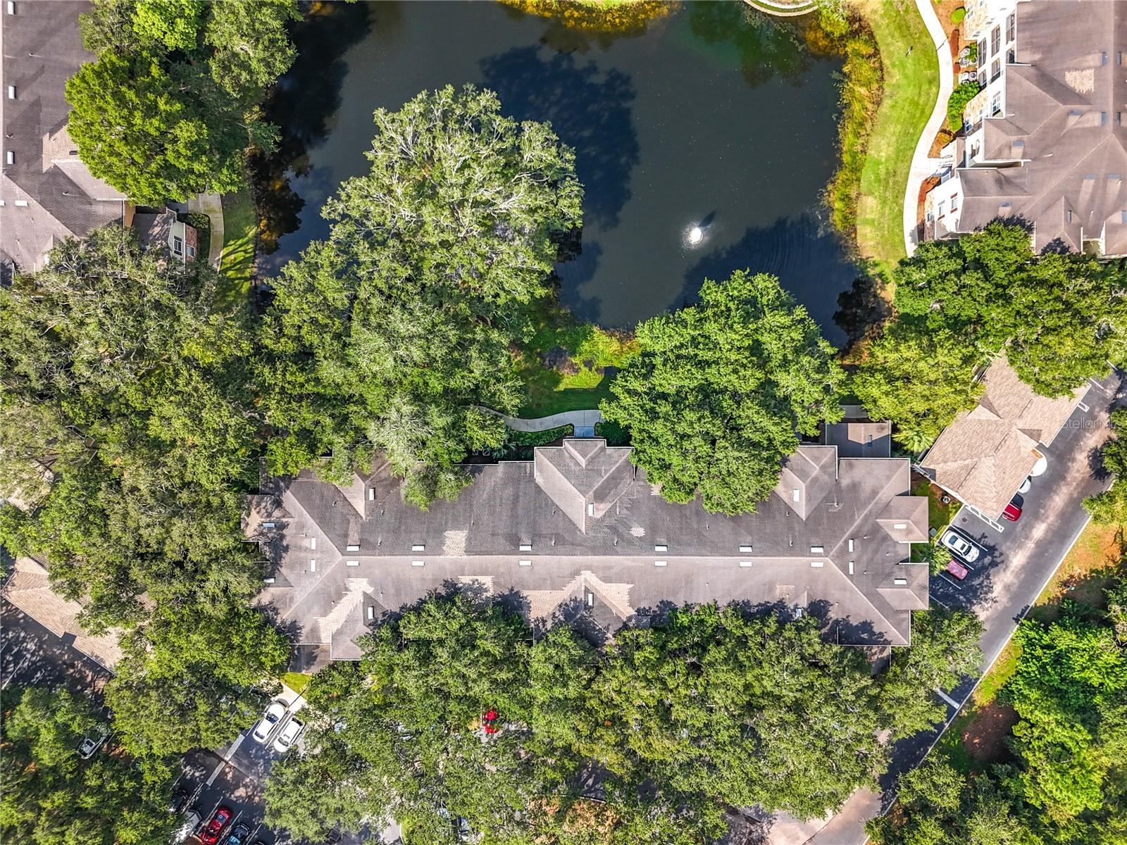 10123 COURTNEY PALMS BLVD #204, TAMPA, FL, 33619