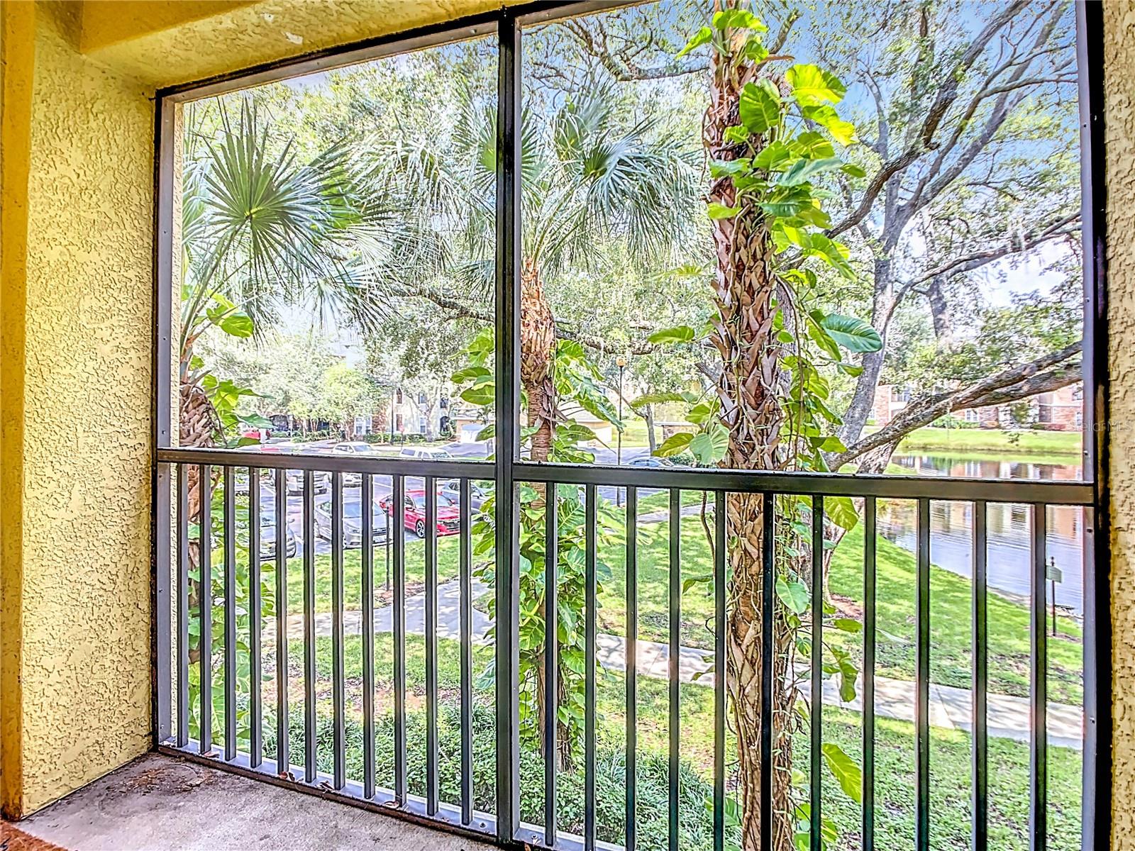 10123 COURTNEY PALMS BLVD #204, TAMPA, FL, 33619