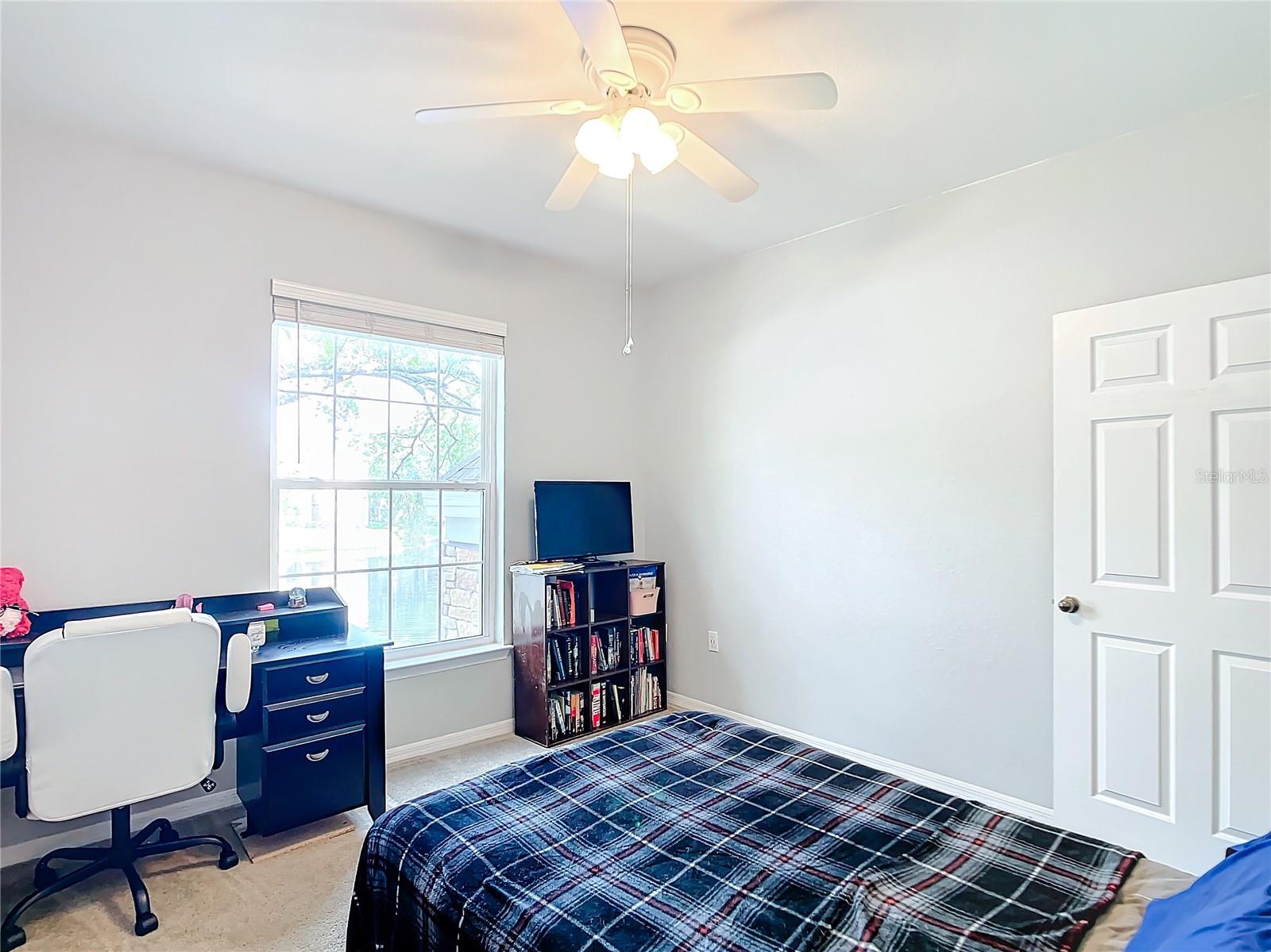 10123 COURTNEY PALMS BLVD #204, TAMPA, FL, 33619