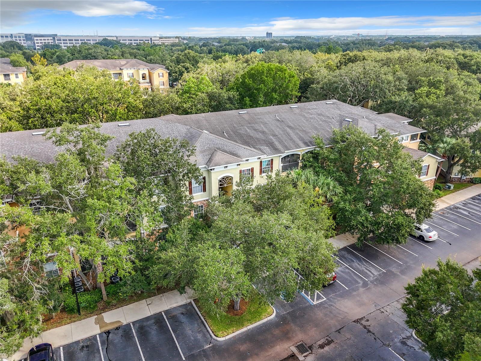 10123 COURTNEY PALMS BLVD #204, TAMPA, FL, 33619