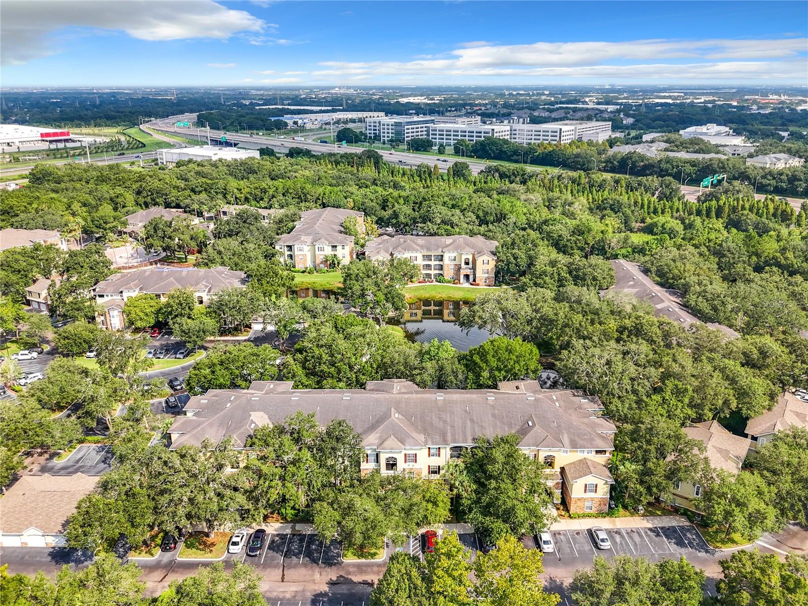 10123 COURTNEY PALMS BLVD #204, TAMPA, FL, 33619