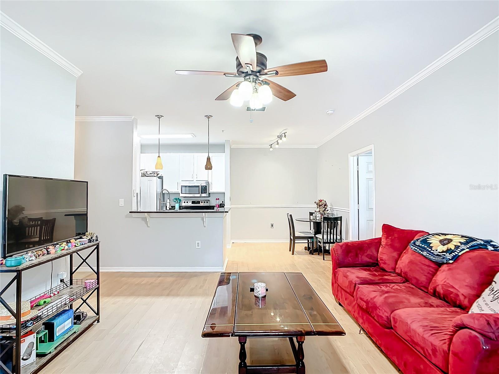 10123 COURTNEY PALMS BLVD #204, TAMPA, FL, 33619
