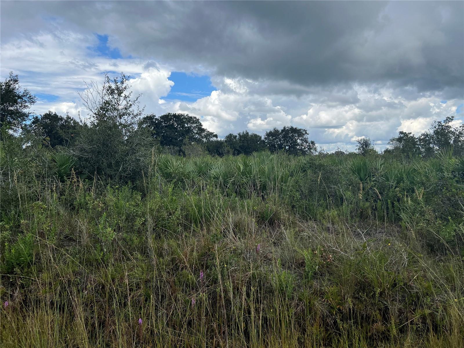 20637 NW 250TH ST, OKEECHOBEE, FL, 34972