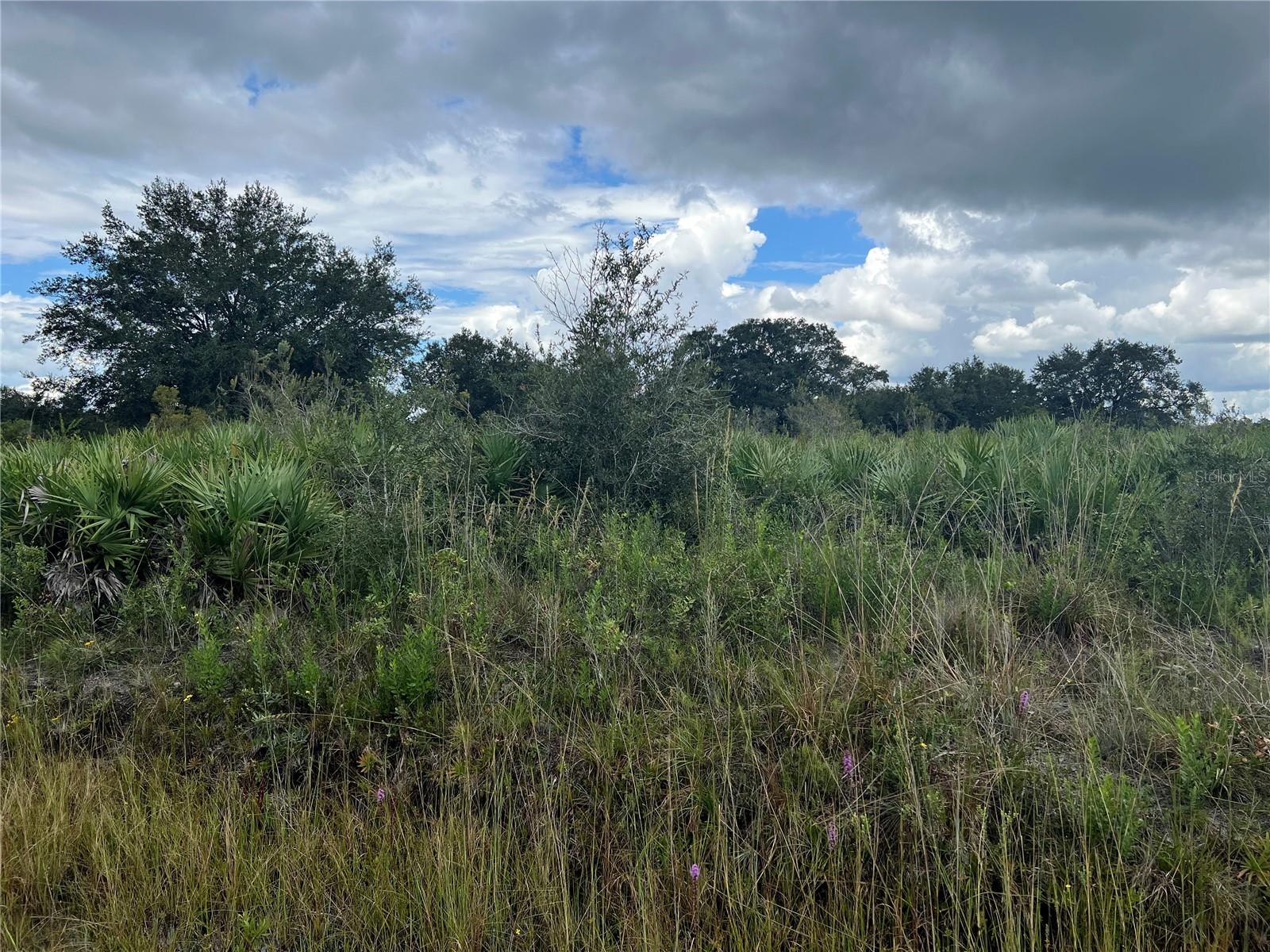 20637 NW 250TH ST, OKEECHOBEE, FL, 34972