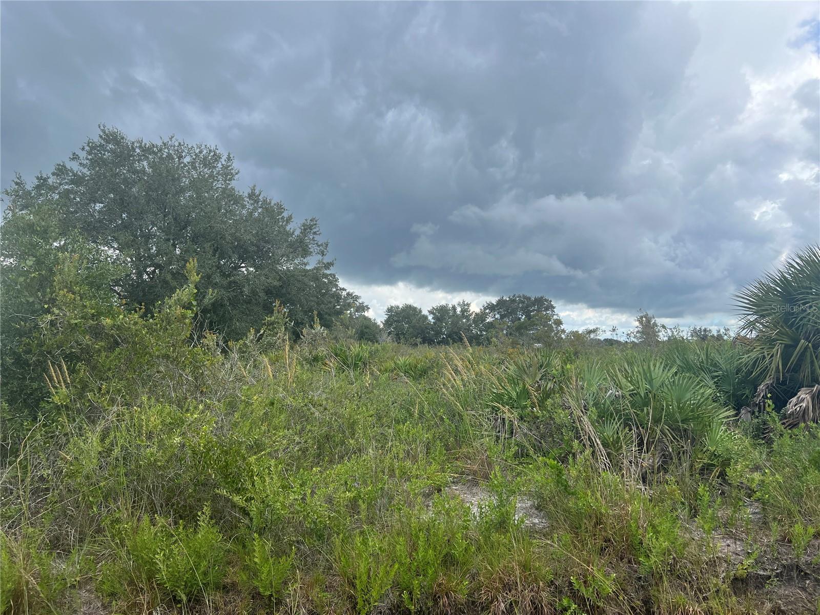 20637 NW 250TH ST, OKEECHOBEE, FL, 34972