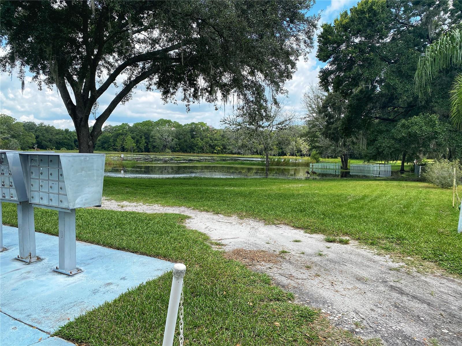 301 SHEERWOOD DR, LADY LAKE, FL, 32159