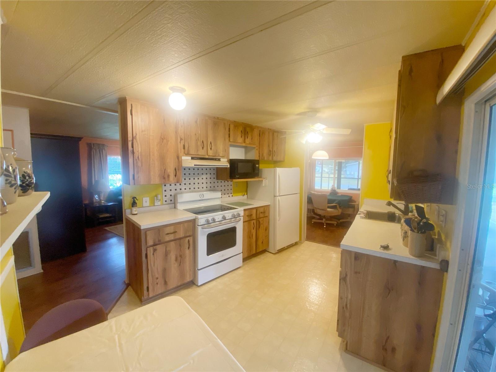 301 SHEERWOOD DR, LADY LAKE, FL, 32159