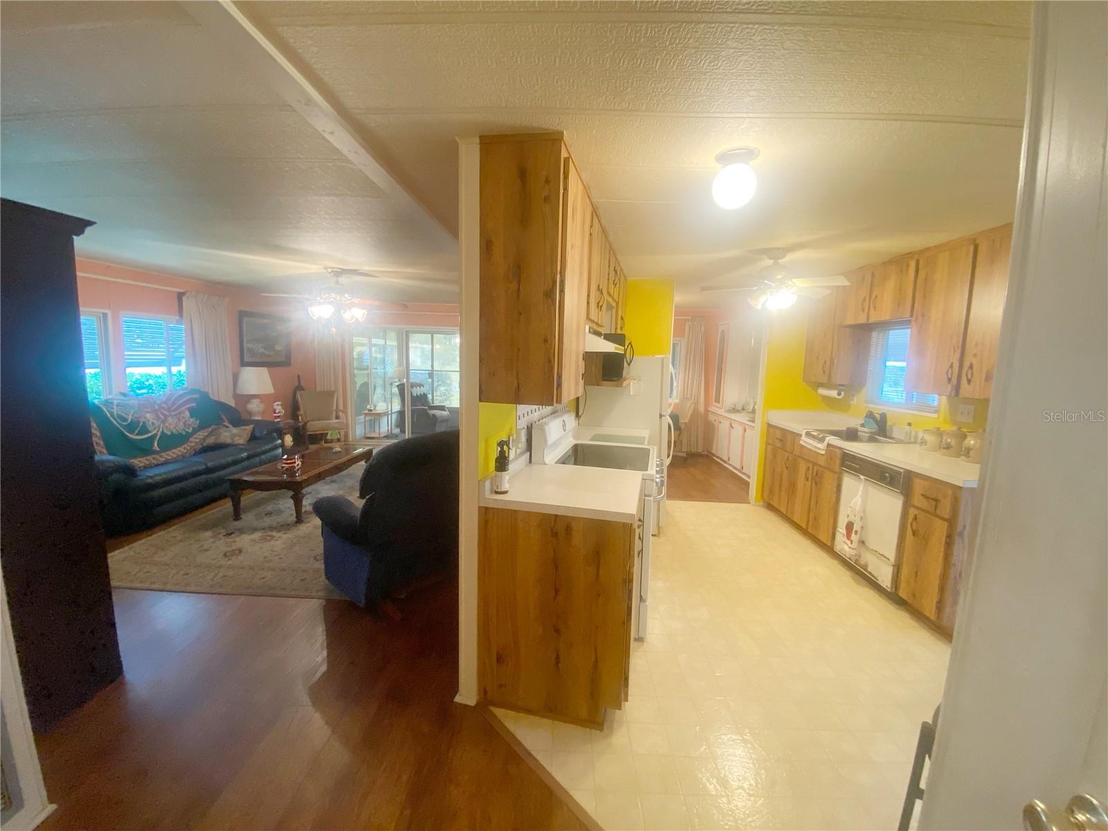 301 SHEERWOOD DR, LADY LAKE, FL, 32159