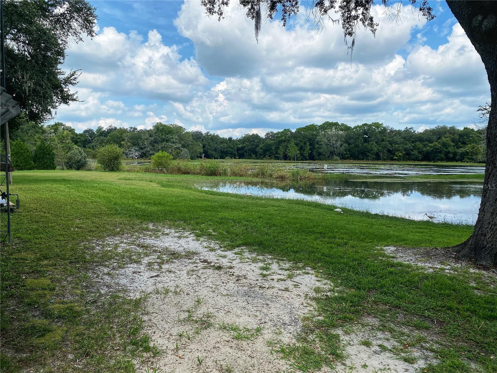 301 SHEERWOOD DR, LADY LAKE, FL, 32159