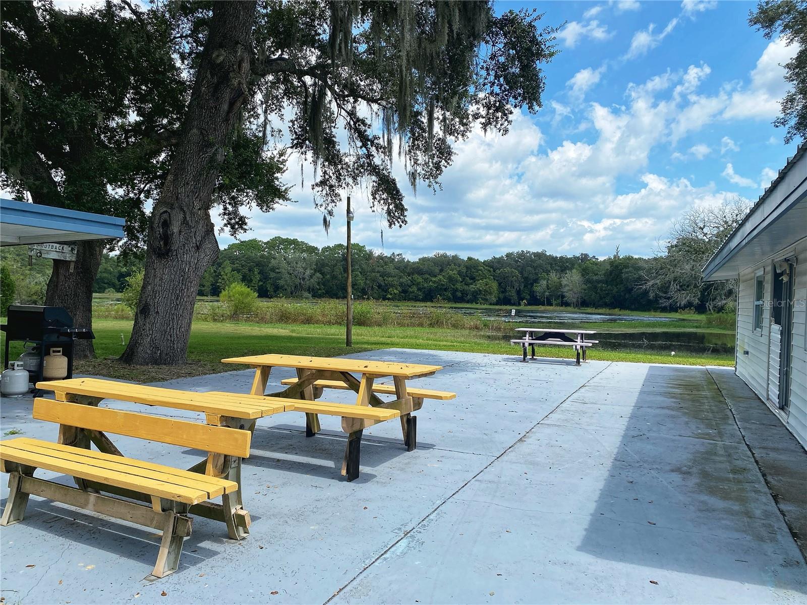 301 SHEERWOOD DR, LADY LAKE, FL, 32159