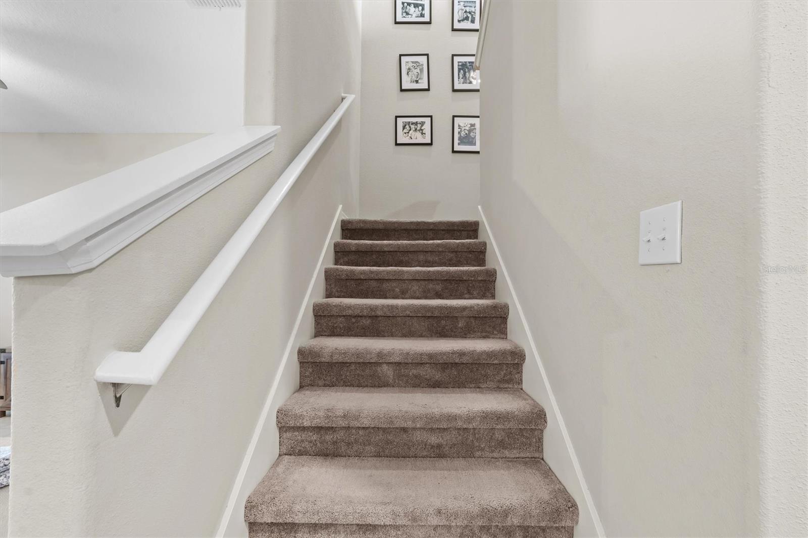 9681 FLOURISH DR, LAND O LAKES, FL, 34637