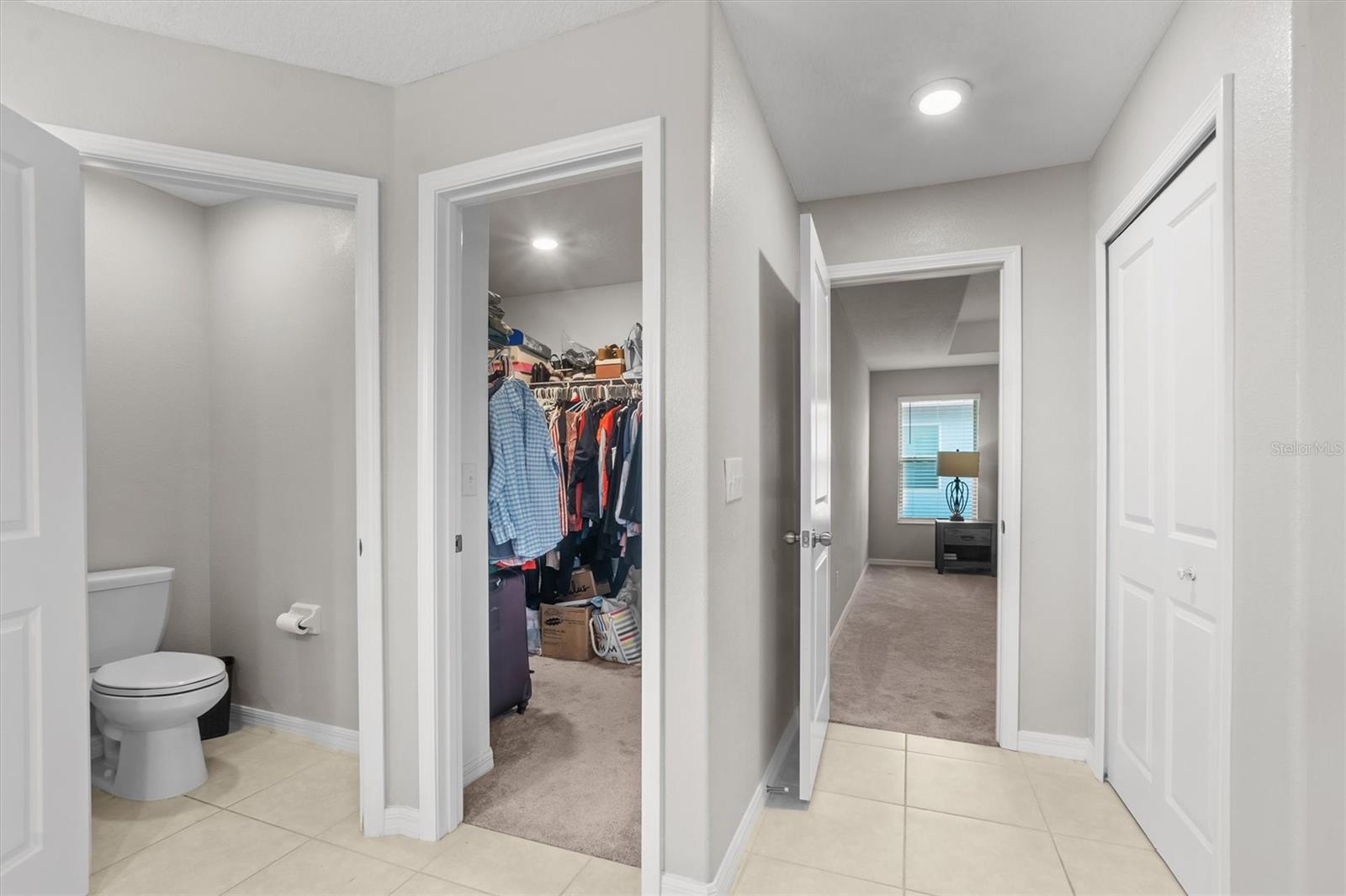 9681 FLOURISH DR, LAND O LAKES, FL, 34637