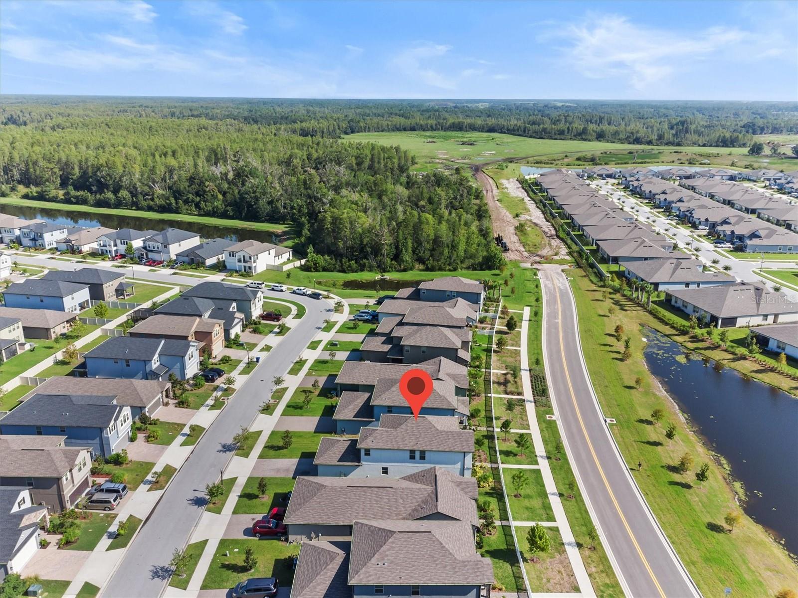 9681 FLOURISH DR, LAND O LAKES, FL, 34637