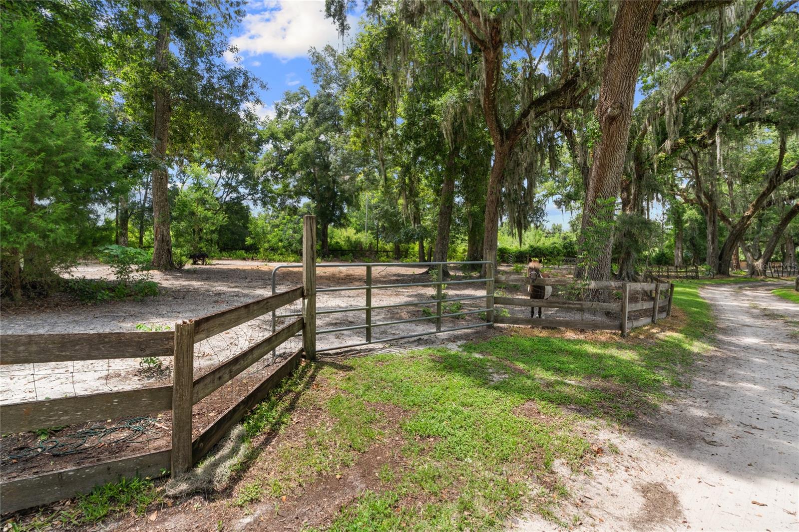 889 SW 165TH ST, OCALA, FL, 34473