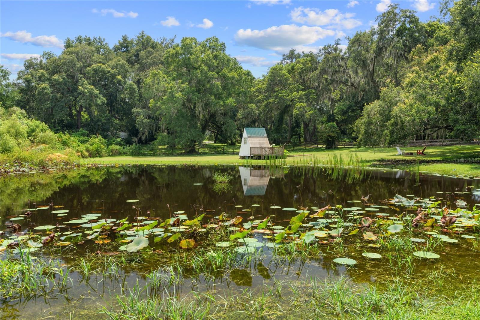 889 SW 165TH ST, OCALA, FL, 34473