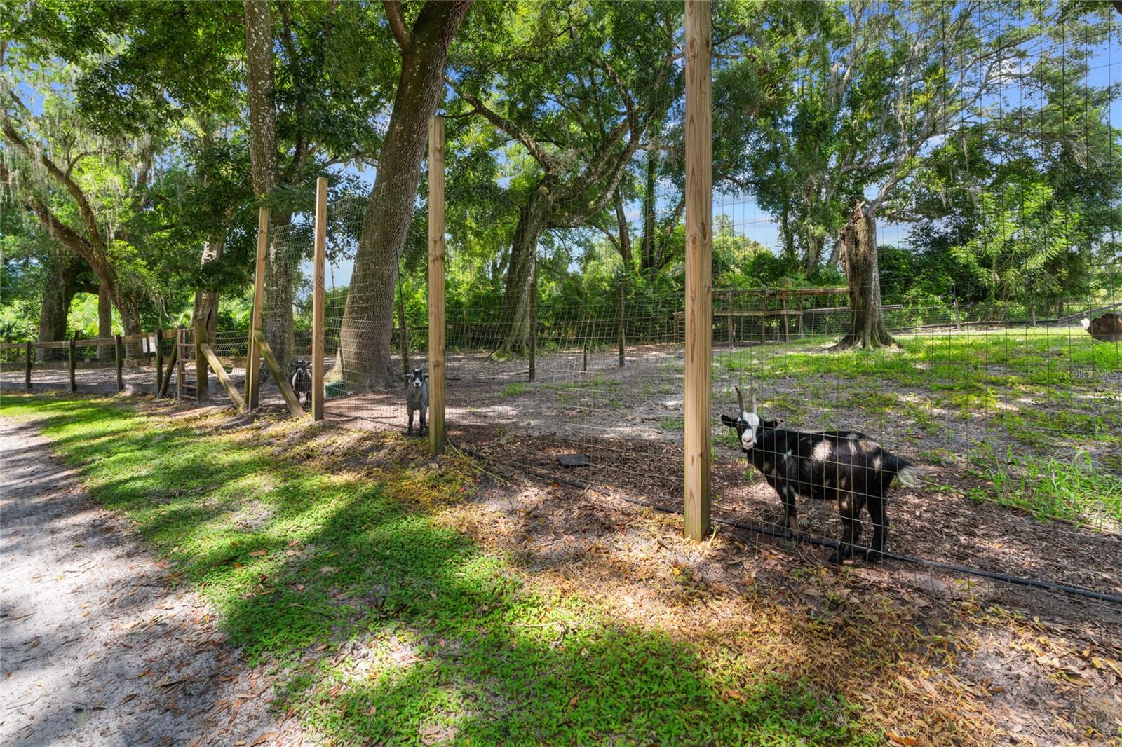 889 SW 165TH ST, OCALA, FL, 34473