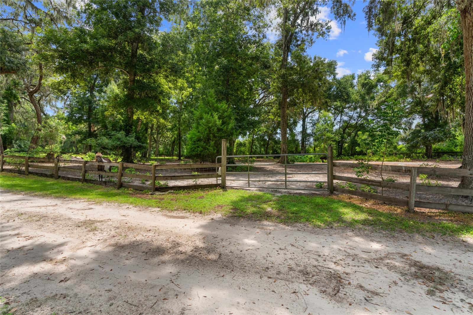 889 SW 165TH ST, OCALA, FL, 34473
