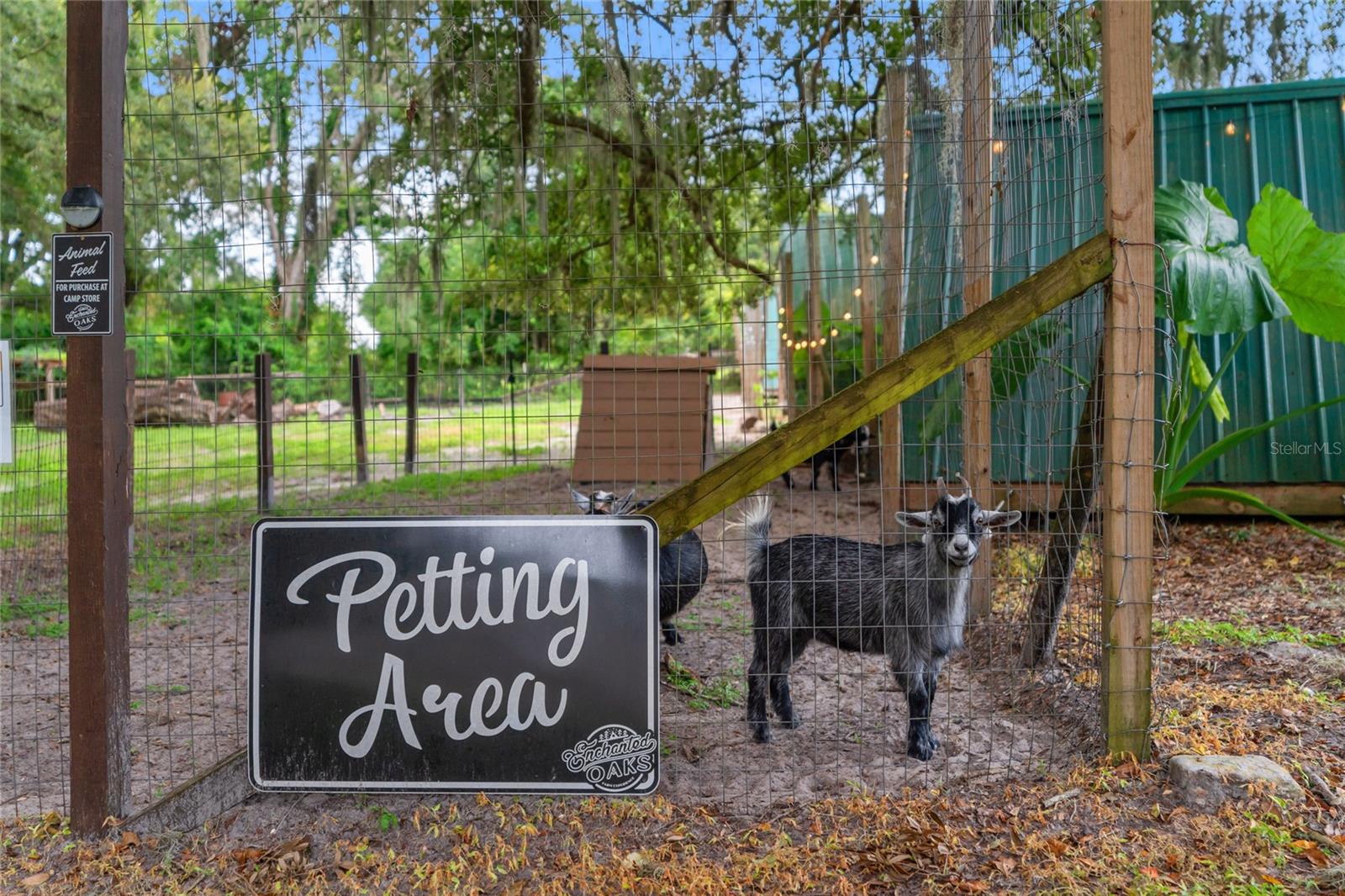 889 SW 165TH ST, OCALA, FL, 34473