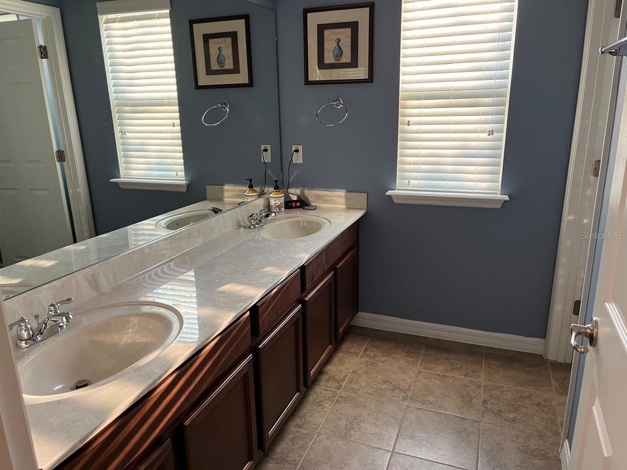11668 BLACK RAIL ST, WINDERMERE, FL, 34786