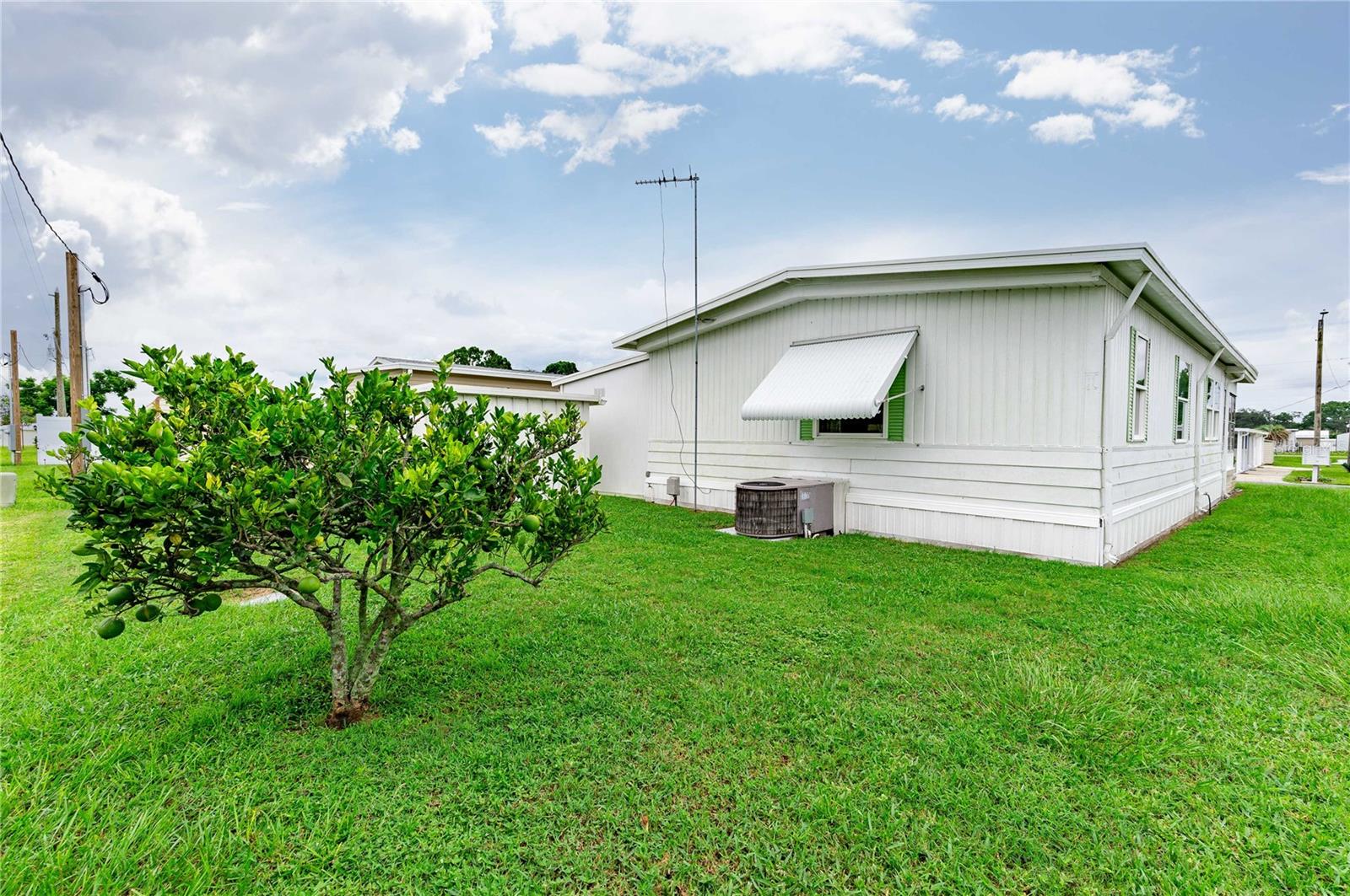 37308 BEVERLY AVE, ZEPHYRHILLS, FL, 33542