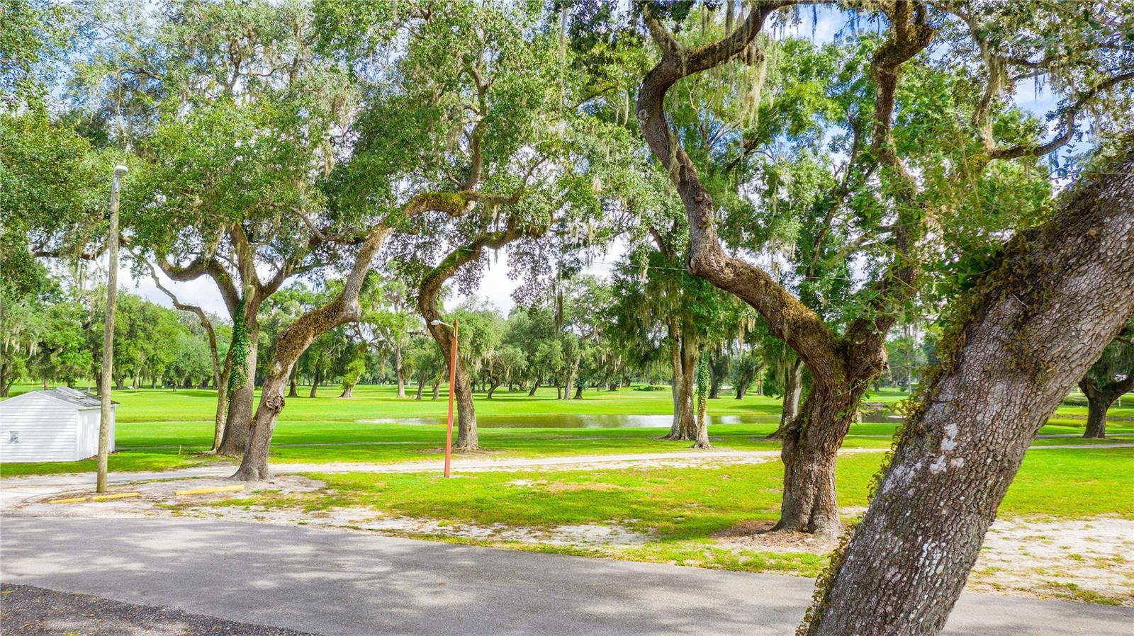 37308 BEVERLY AVE, ZEPHYRHILLS, FL, 33542