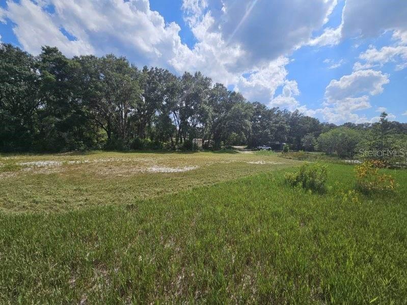 17095 SE 158TH AVE, WEIRSDALE, FL, 32195
