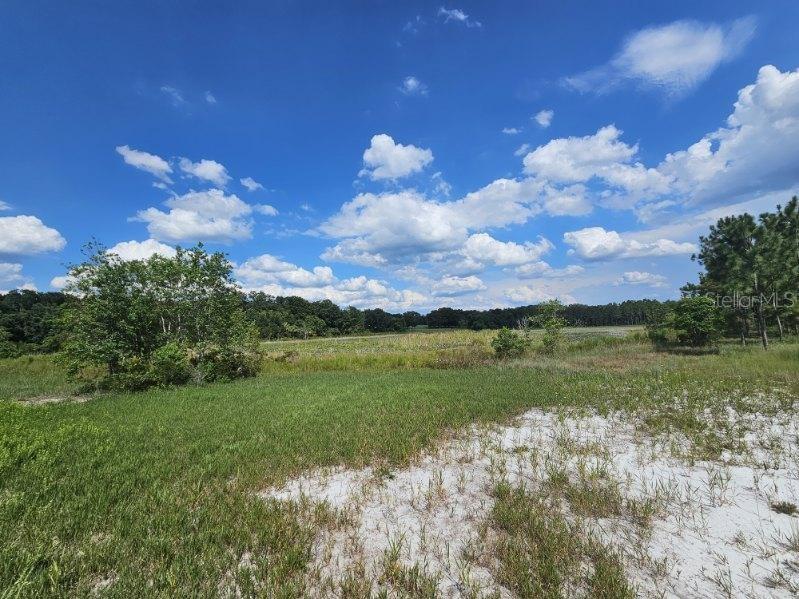17095 SE 158TH AVE, WEIRSDALE, FL, 32195