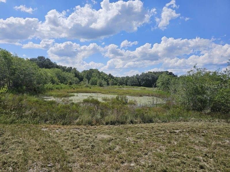 17095 SE 158TH AVE, WEIRSDALE, FL, 32195