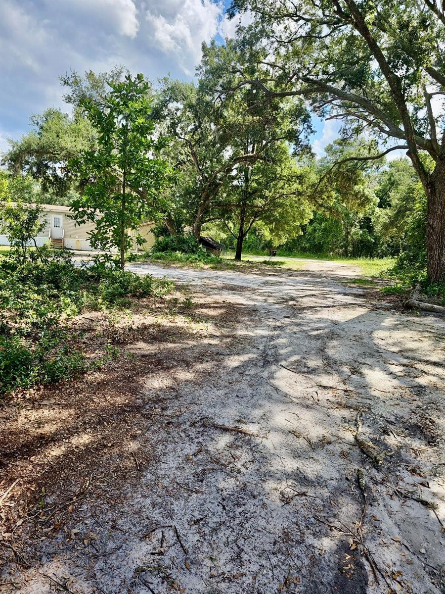 17095 SE 158TH AVE, WEIRSDALE, FL, 32195