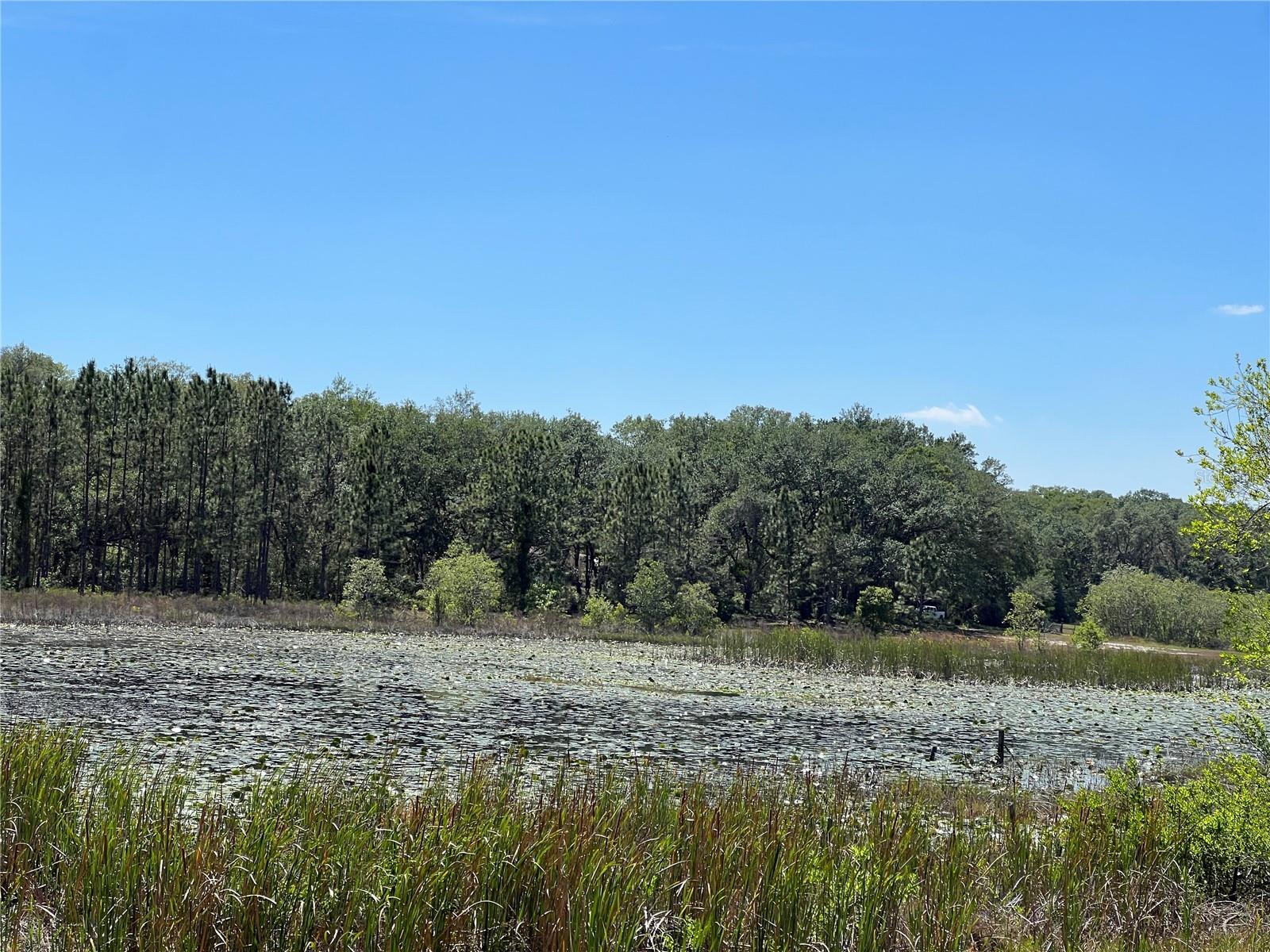 17095 SE 158TH AVE, WEIRSDALE, FL, 32195